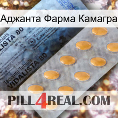 Аджанта Фарма Камагра 44